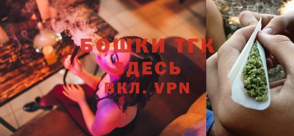 сатива Вяземский