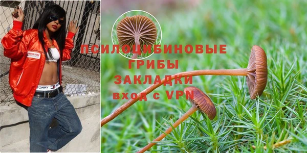 шишки Вязники