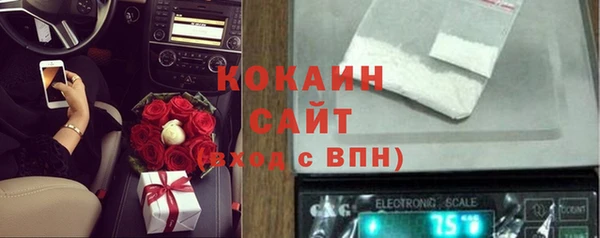 шишки Вязники