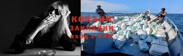 сатива Вяземский