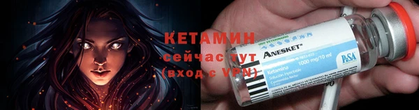 шишки Вязники