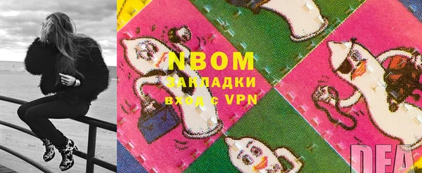 сатива Вяземский