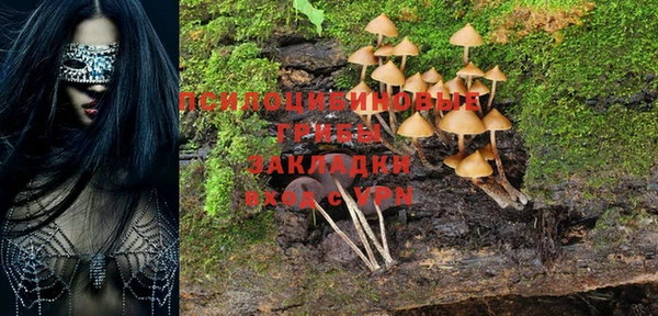 шишки Вязники