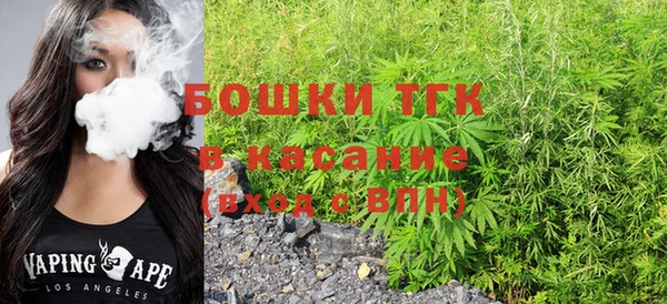 сатива Вяземский