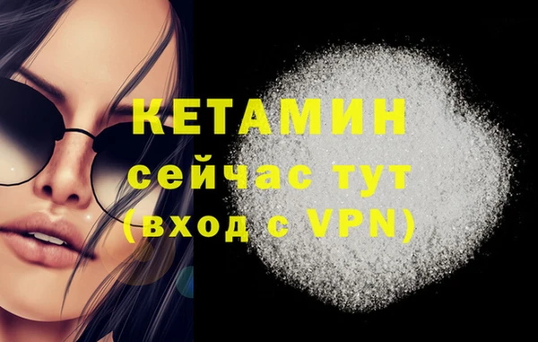 сатива Вяземский