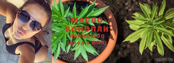 шишки Вязники