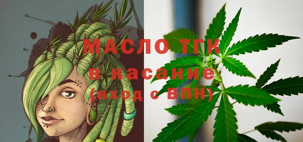 сатива Вяземский