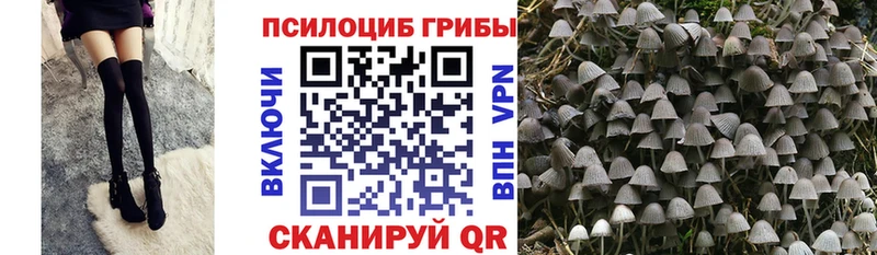 Купить закладки  Урюпинск  Галлюциногенные грибы мухоморы 